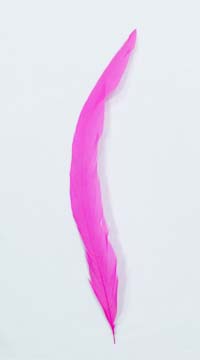 Dyed Coque Sweeps feathers - PINK